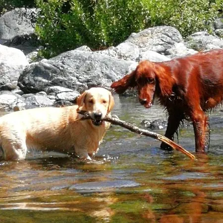 Chez Christine 2 Appartement Arenzano